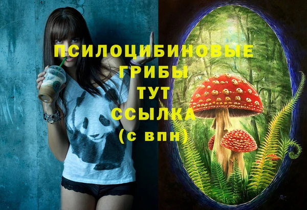 дживик Беломорск