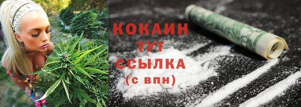 винт Белокуриха