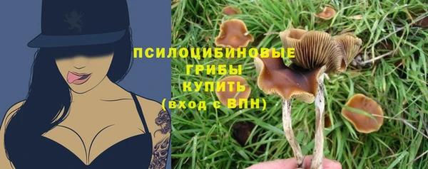 тгк Пестово