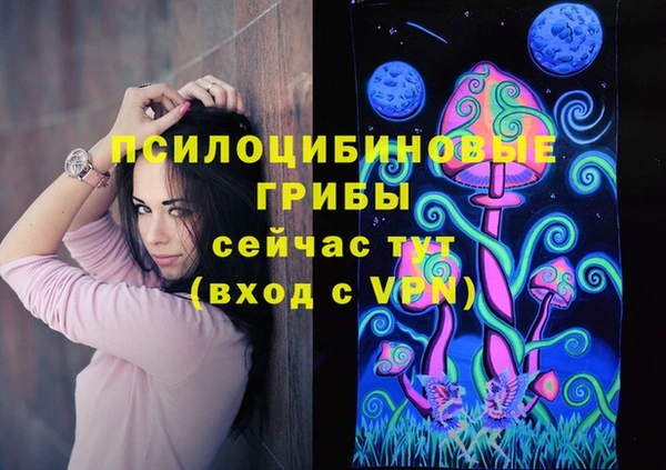 дживик Беломорск