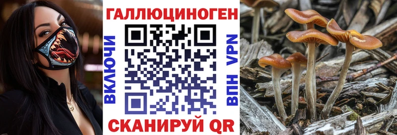 Псилоцибиновые грибы MAGIC MUSHROOMS  купить  цена  blacksprut tor  Щучье 